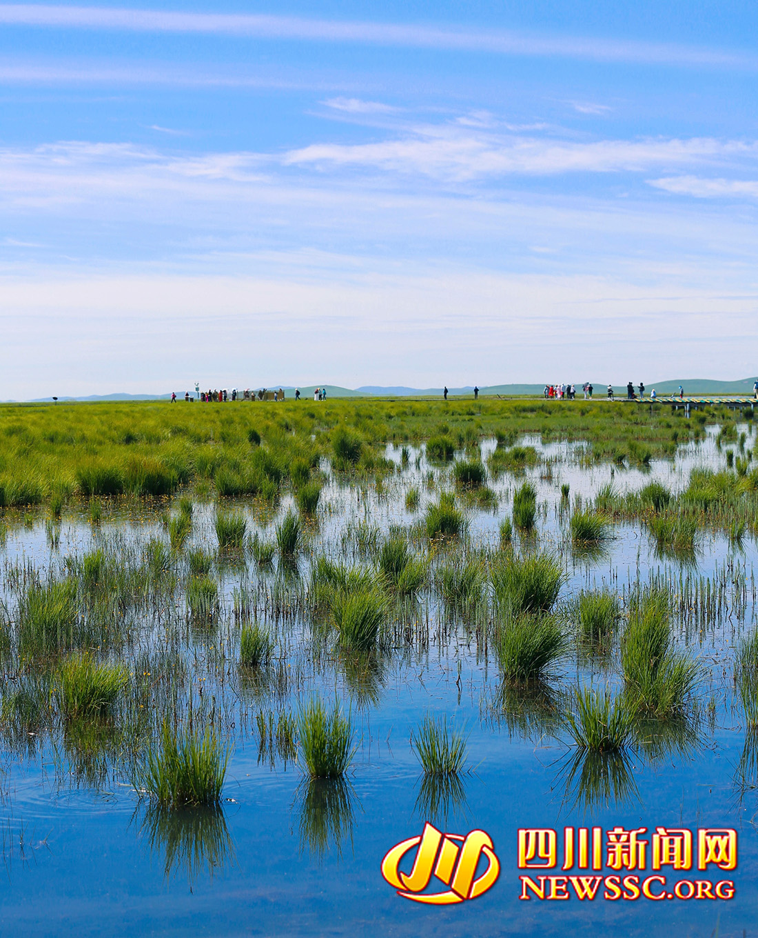 沙洲點(diǎn)點(diǎn)，水鳥翔集，探秘黃河九曲第一灣若爾蓋生態(tài)之變的“金鑰匙” (5)222222222.jpg