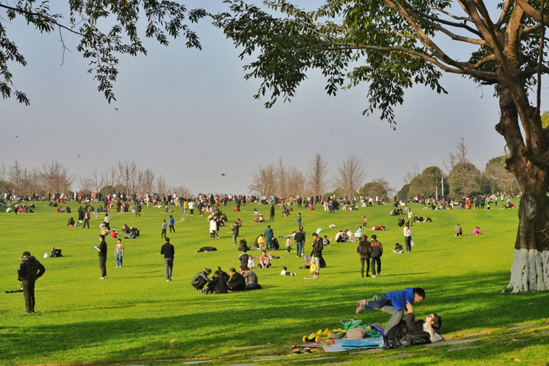 重慶中央公園，市民在草坪上曬太陽、放風(fēng)箏。重慶日報.jpg
