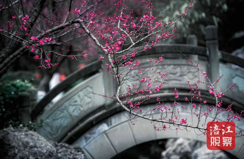 綿陽3_1.jpg