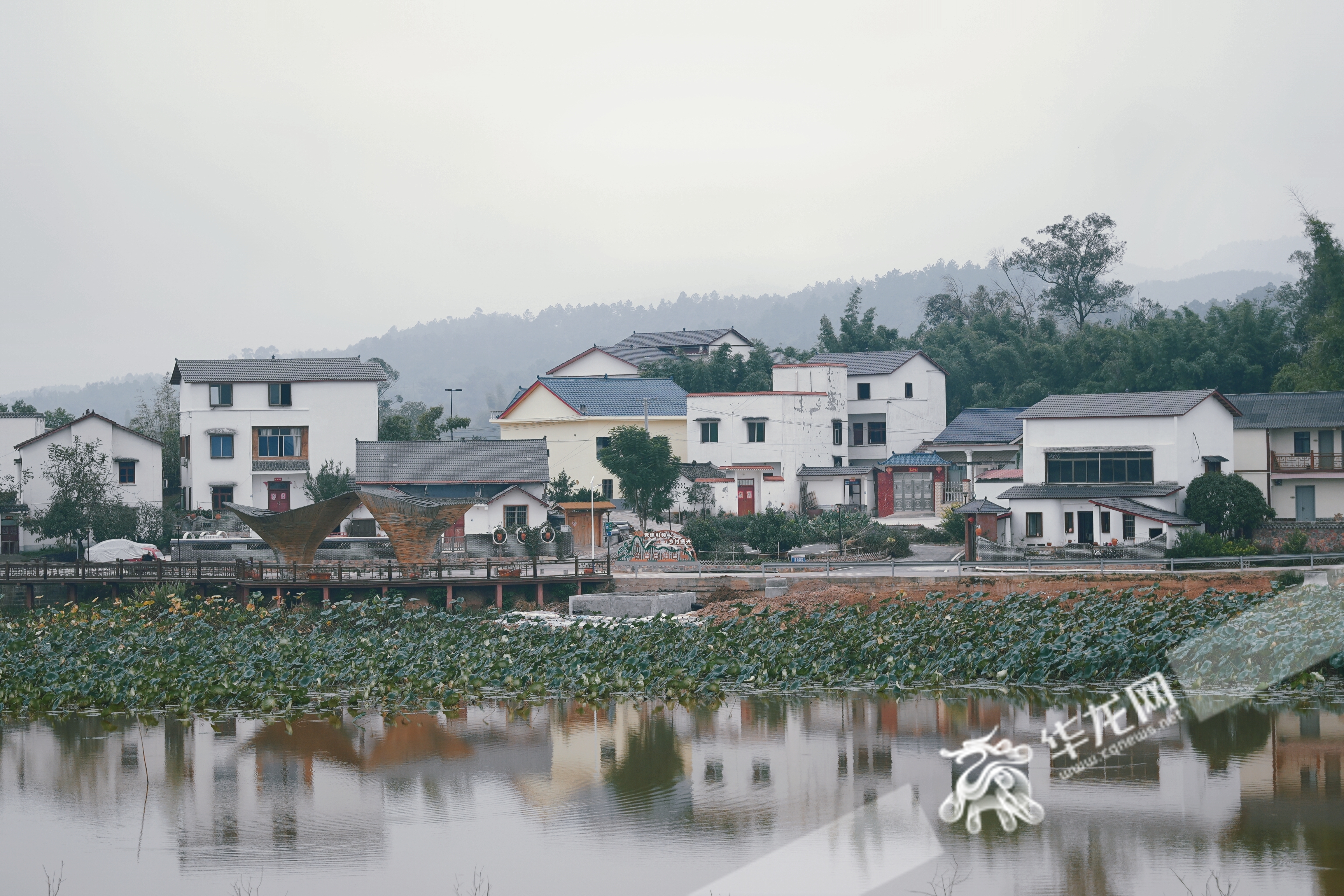 榮昌與隆昌攜手共建的成渝現(xiàn)代高效特色農(nóng)業(yè)帶“雙昌”合作示范園區(qū)。華龍網(wǎng) 辛飛 攝